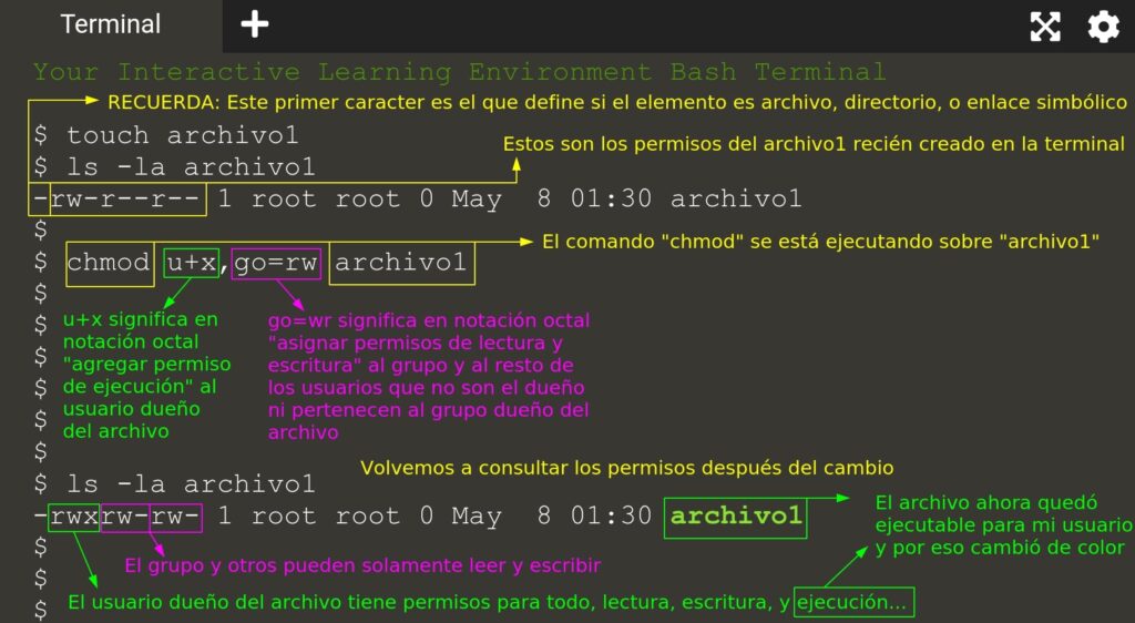 Cómo leer y cambiar permisos en la terminal de Linux - Aprende La Terminal